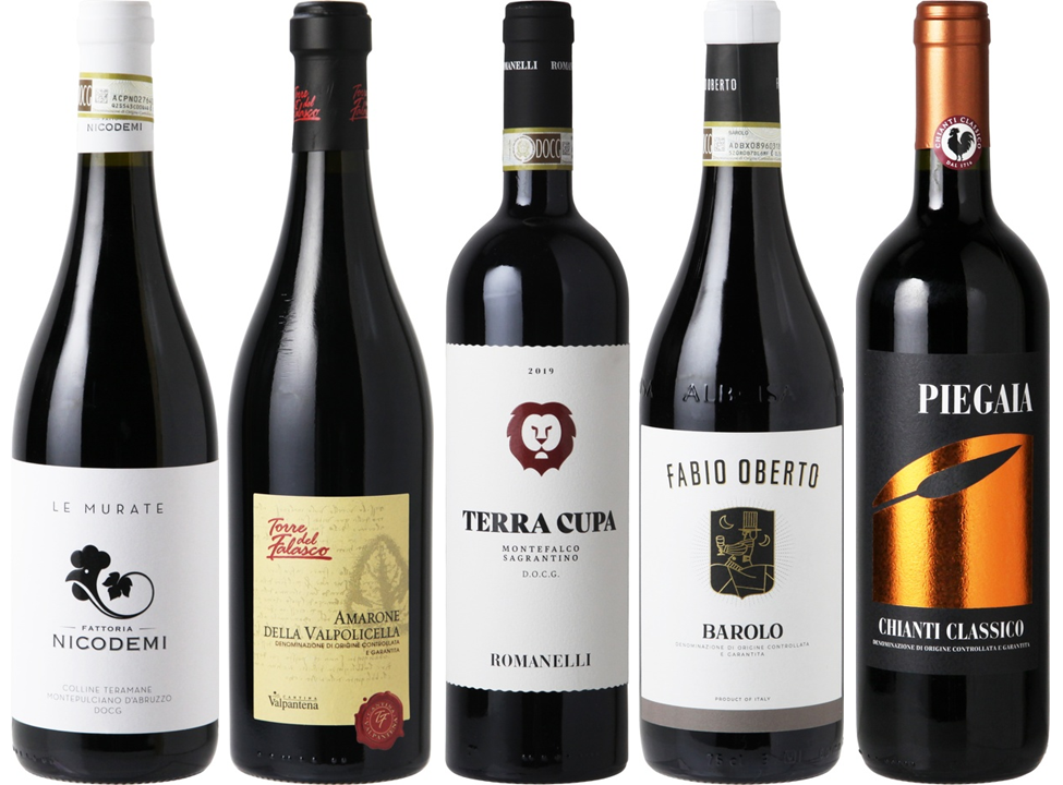 フルボディ5本セット